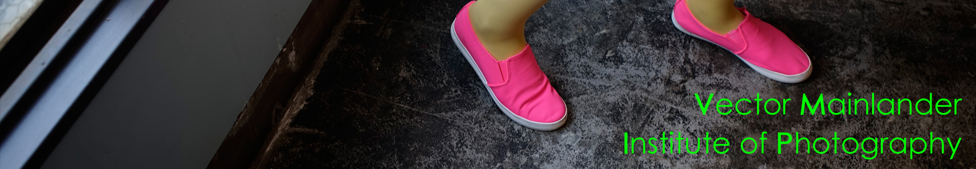 Vector Mainlnader Institute of Photography